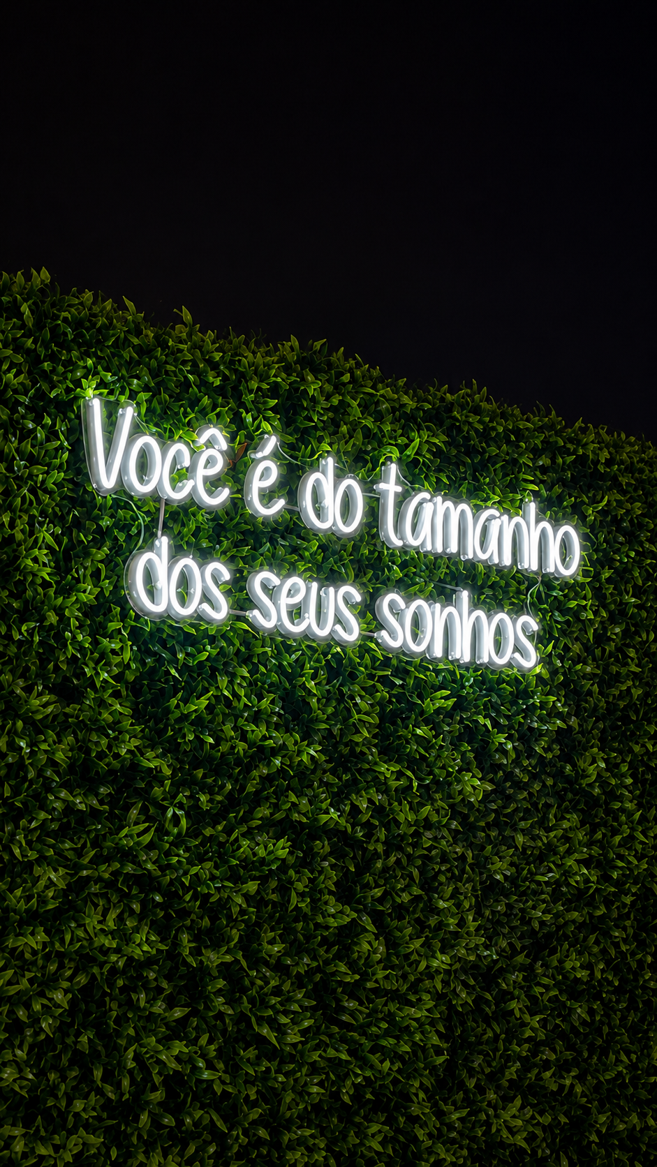 Santo Sushi 5